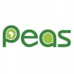 PEAS - Promoting Equality in African Schools