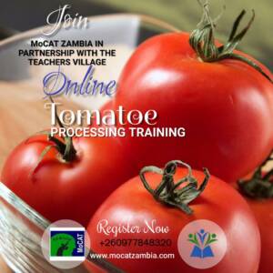 Tomato Processing Training