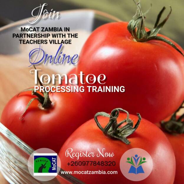 Tomato Processing Training